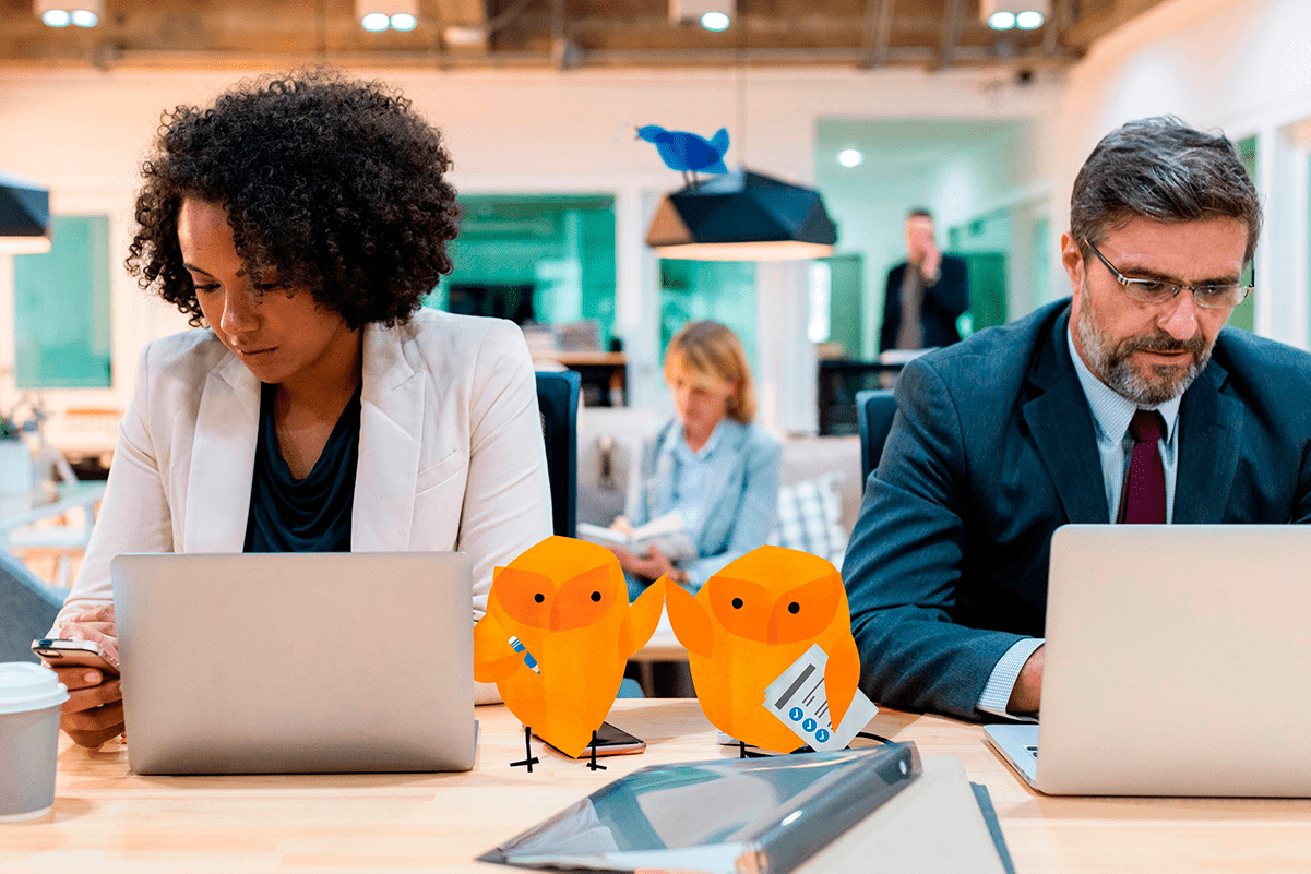 Intranet Manager job description